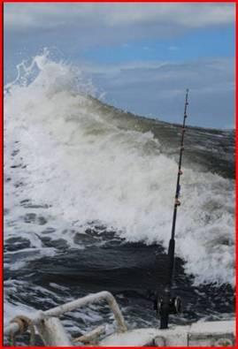 Fishing reports, tackle specials and angling politics from Downrigger Shop, Monday 23rd May 2016 fishing photo 30