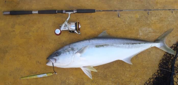 Fishing reports, tackle specials and angling politics from Downrigger Shop, Monday 25th July 2016 fishing photo 21