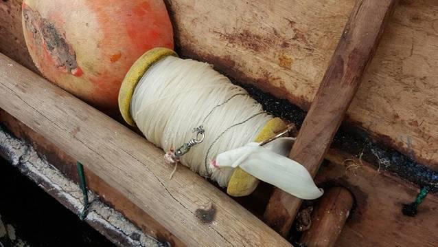 Fishing reports, tackle specials and angling politics from Downrigger Shop, Monday 25th July 2016 fishing photo 24