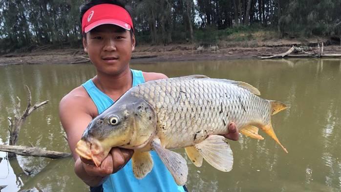 Fishing reports, tackle specials and angling politics from Downrigger Shop, Monday 5th December 2016 fishing photo 6