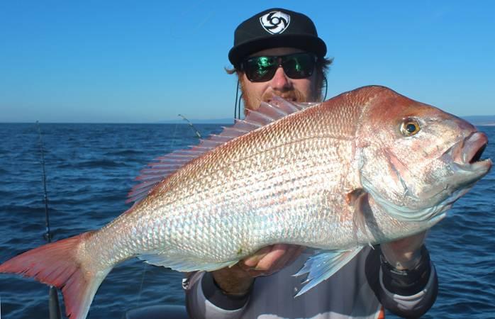 Fishing reports, tackle specials and angling politics from Downrigger Shop, Monday 5th December 2016 fishing photo 8