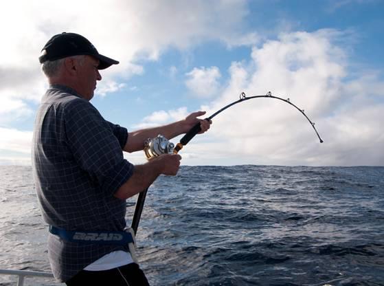 Fishing reports, tackle specials and angling politics from Downrigger Shop, Monday 5th December 2016 fishing photo 11