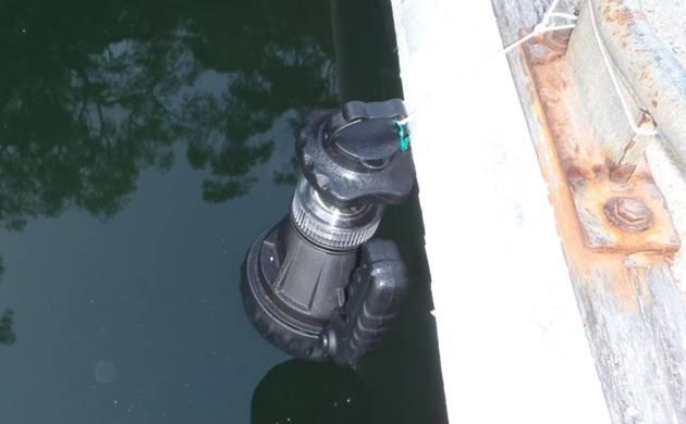 Fishing reports, tackle specials and angling politics from Downrigger Shop, Monday 5th December 2016 fishing photo 12