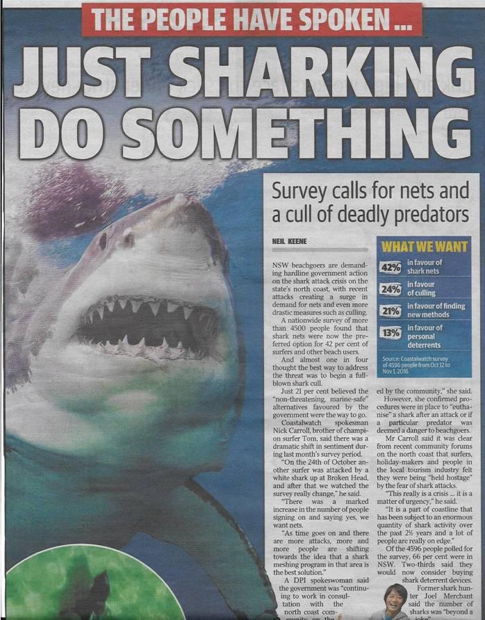 Fishing reports, tackle specials and angling politics from Downrigger Shop, Monday 5th December 2016 fishing photo 29
