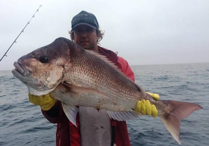Fishing reports, tackle specials, and angling politics from Downrigger Shop Sunday 1st May 2016 fishing photo 3
