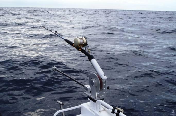 Fishing reports, tackle specials, and angling politics from Downrigger Shop Sunday 1st May 2016 fishing photo 17