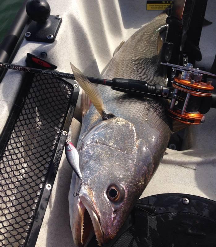 Fishing reports, tackle specials, and angling politics from Downrigger Shop Sunday 1st May 2016 fishing photo 23