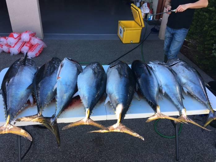 Fishing reports, tackle specials, and angling politics from Downrigger Shop Sunday 1st May 2016 fishing photo 25