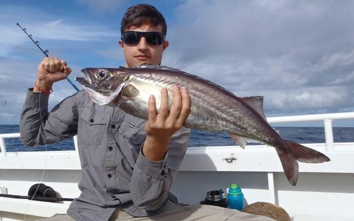 Fishing reports, tackle specials, and angling politics from Downrigger Shop Sunday 1st May 2016 fishing photo 27