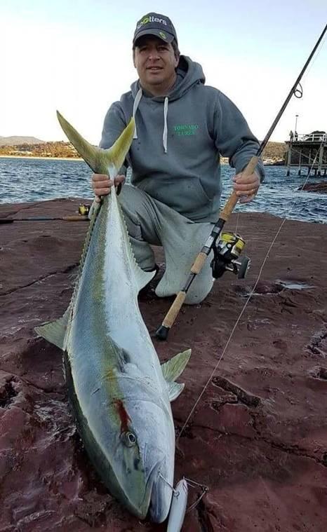 Fishing reports, tackle specials and angling politics from Downrigger Shop, Thursday 4th August 2016 fishing photo 1