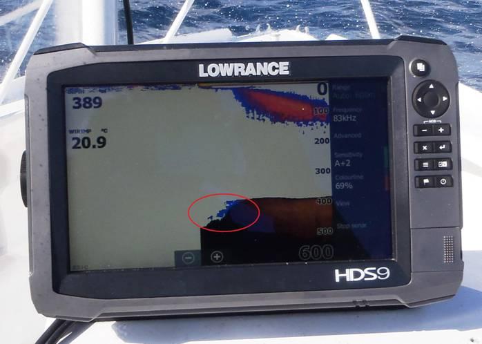 Fishing reports, tackle specials and angling politics from Downrigger Shop, Thursday 4th August 2016 fishing photo 7