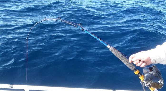 Fishing reports, tackle specials and angling politics from Downrigger Shop, Thursday 4th August 2016 fishing photo 8