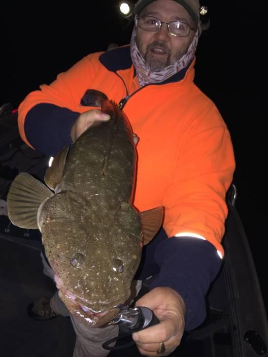 Fishing reports, tackle specials and angling politics from Downrigger Shop Thursday 9th June 2016 fishing photo 4