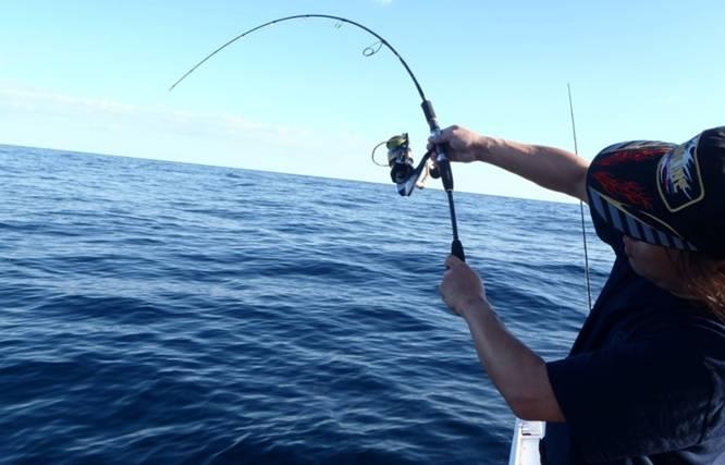 Fishing reports, tackle specials and angling politics from Downrigger Shop Thursday 9th June 2016 fishing photo 17