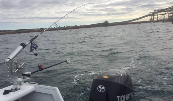 Fishing reports, tackle specials and angling politics from Downrigger Shop Thursday 9th June 2016 fishing photo 26
