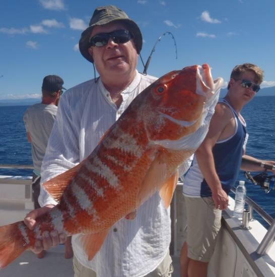 Fishing reports, tackle specials and angling politics from Downrigger Shop, Tuesday 21st June 2016 fishing photo 9