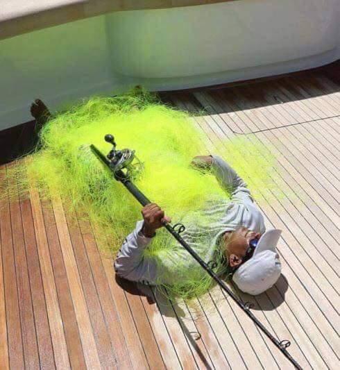Fishing reports, tackle specials and angling politics from Downrigger Shop, Tuesday 21st June 2016 fishing photo 20
