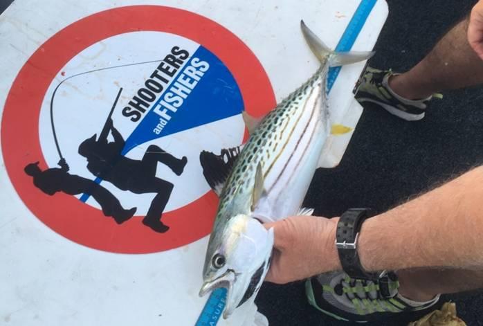 Fishing reports, tackle specials and angling politics from Downrigger Shop, Tuesday 22nd March 2016 fishing photo 5