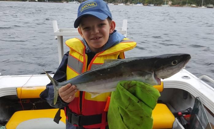 Fishing reports, tackle specials and angling politics from Downrigger Shop, Tuesday 22nd March 2016 fishing photo 31