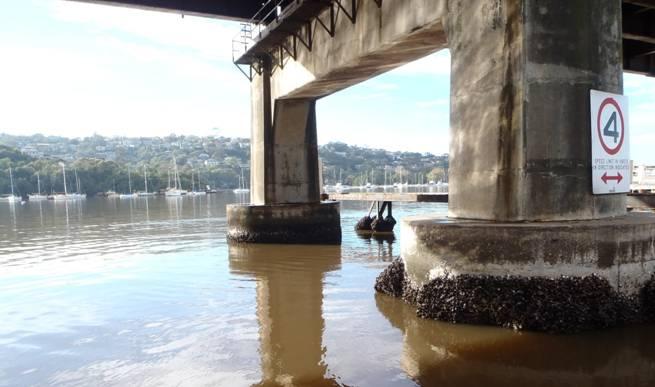 Fishing reports, tackle specials and angling politics from Downrigger Shop, Tuesday 22nd March 2016 fishing photo 32