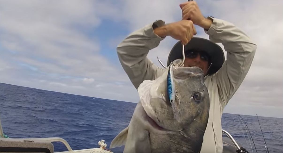 Fishing reports Wednesday 5th October 2016 fishing photo 11
