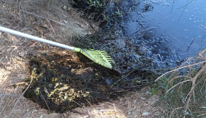 Fishing reports Wednesday 5th October 2016 fishing photo 22