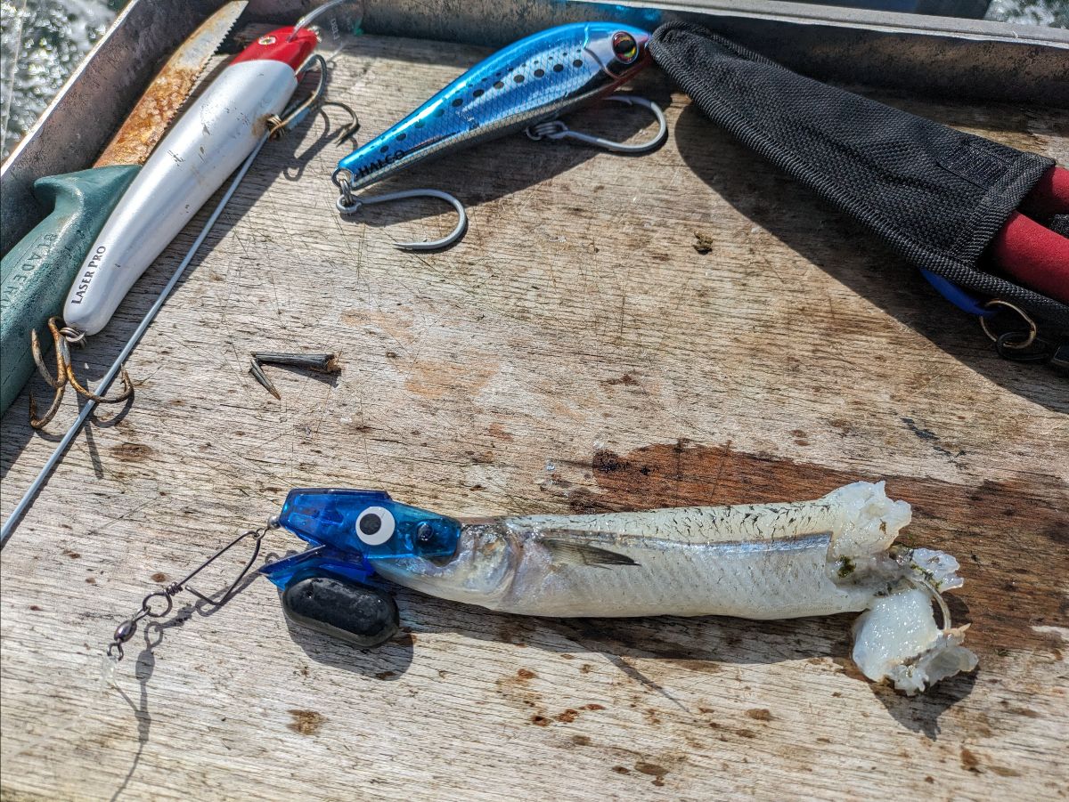 Fraser Island Frustration fishing photo 7