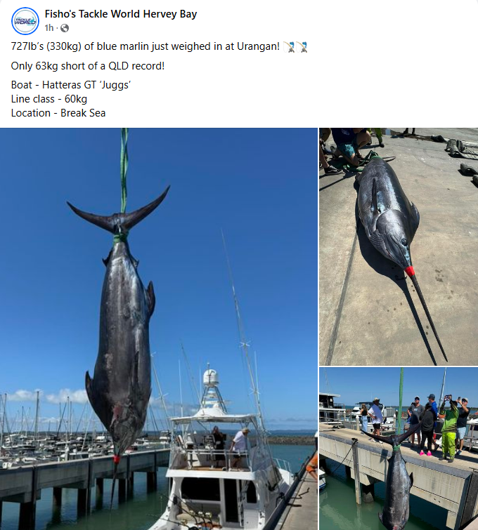Fraser Island – Trip Four fishing photo 2