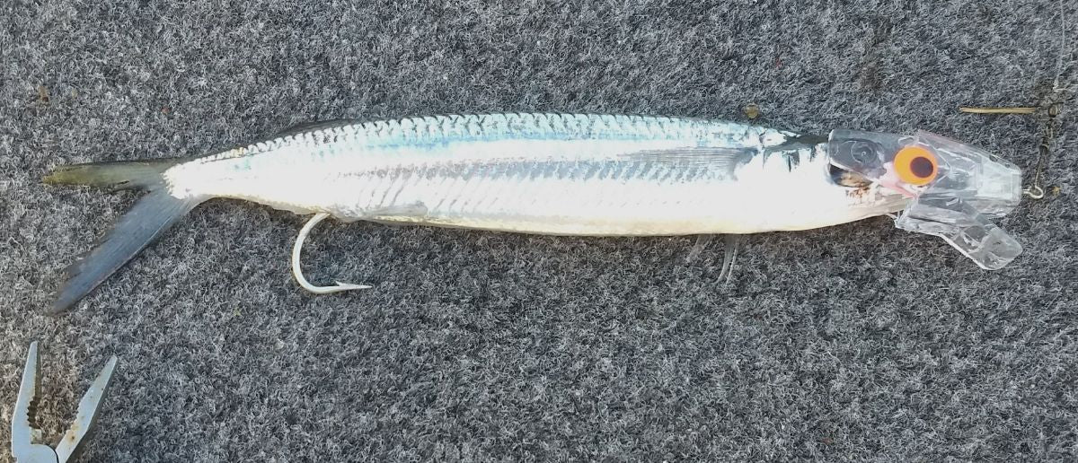 Get a Head Start on Mackerel Season fishing photo 3