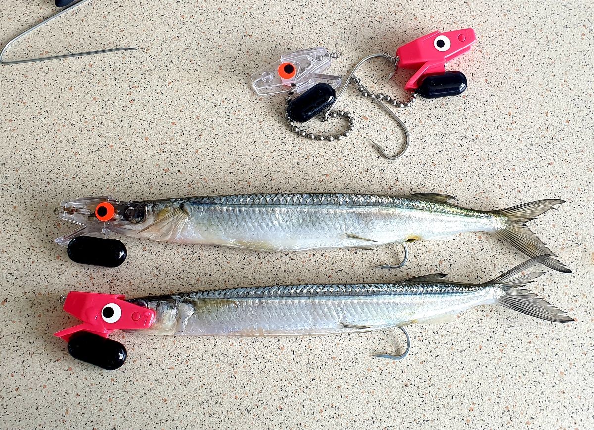 Get a Head Start on Mackerel Season fishing photo 4