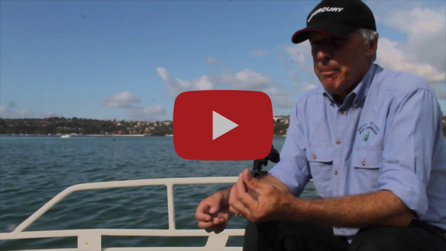 Get a Head Start on Mackerel Season fishing photo 6