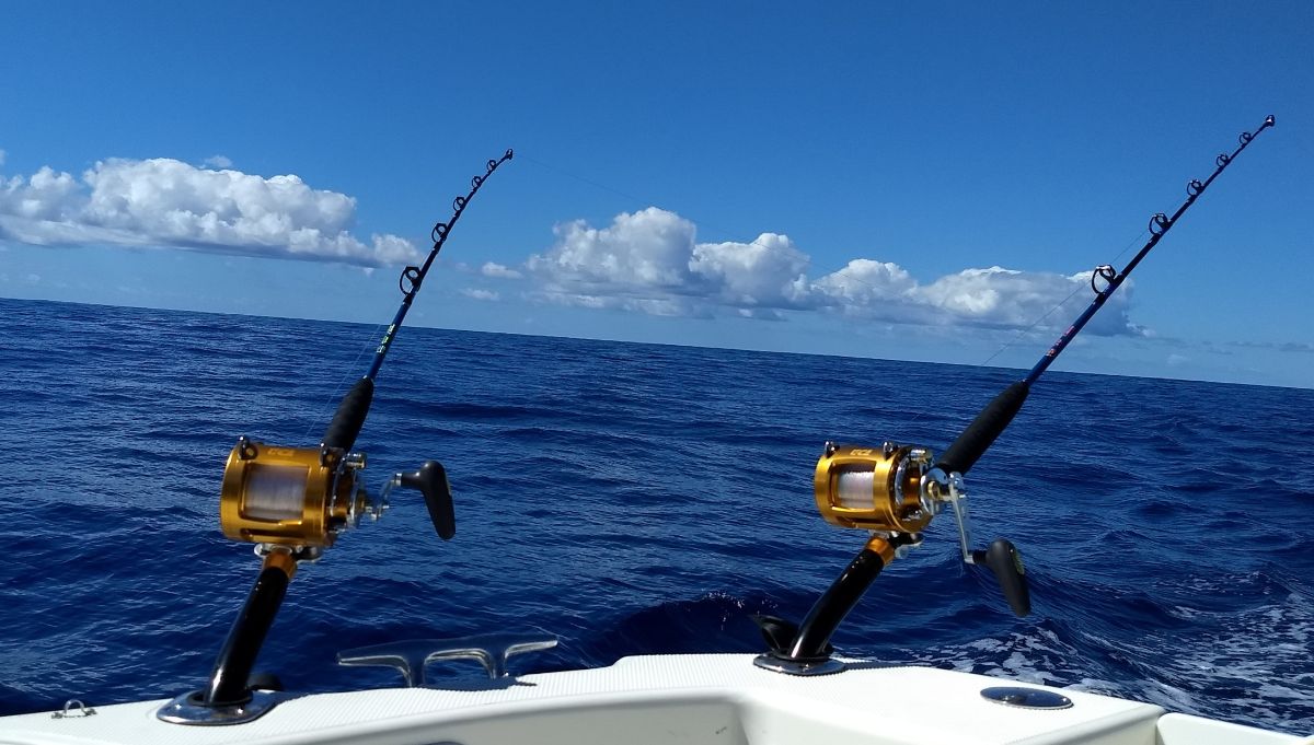 Go Tell It on The Mountain fishing photo 6