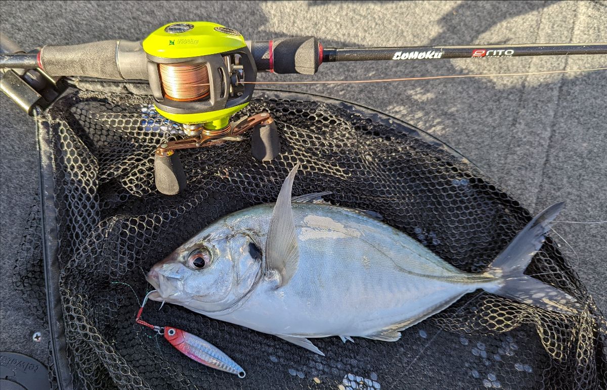 Hairtail Heaven Monday 22nd August 2022 fishing photo 5