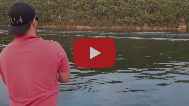 Harbour Jigging fishing photo 2