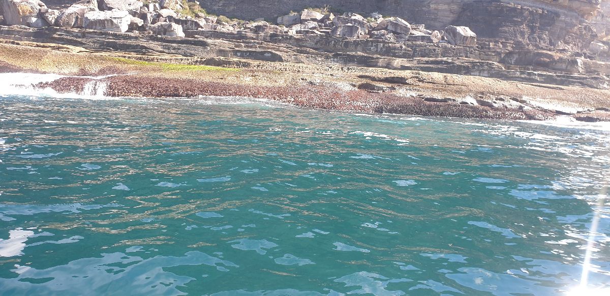 Harbour Jigging fishing photo 7