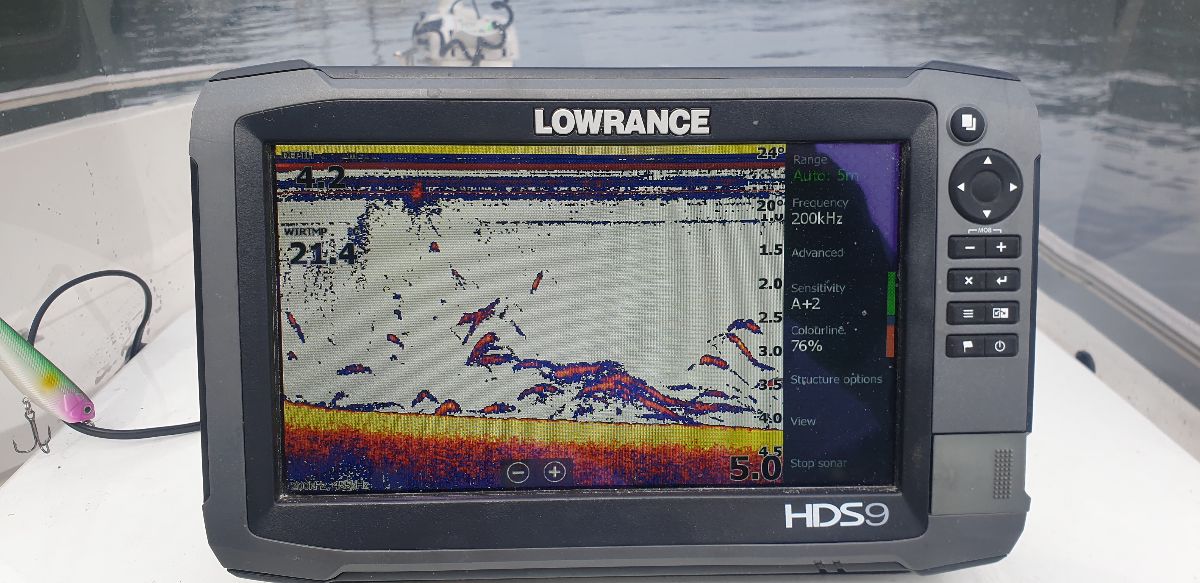 Harbour Jigging fishing photo 8