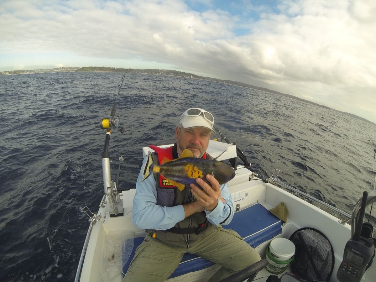 Harbour Topwater fishing photo 2