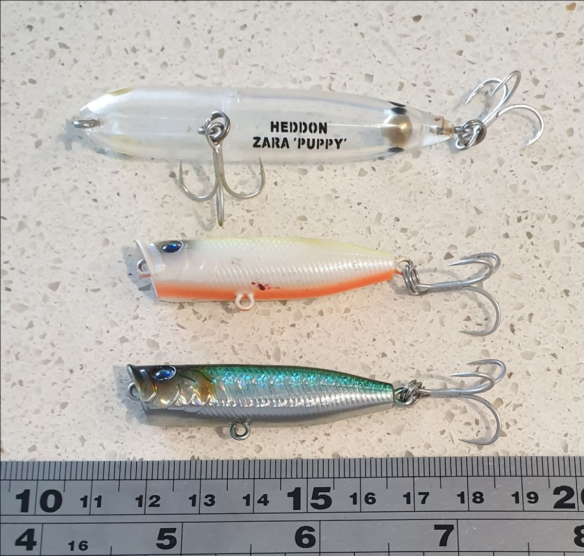 Harbour Topwater fishing photo 5