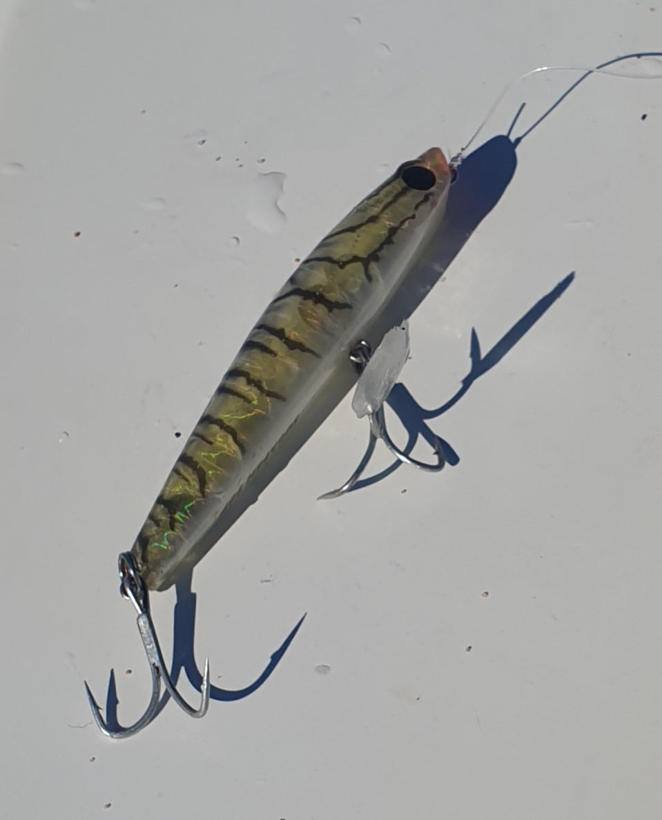 Harbour Topwater fishing photo 9