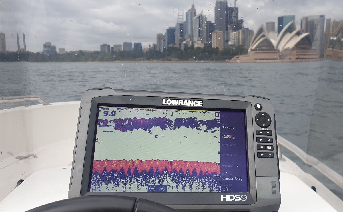 Harbour Topwater fishing photo 10