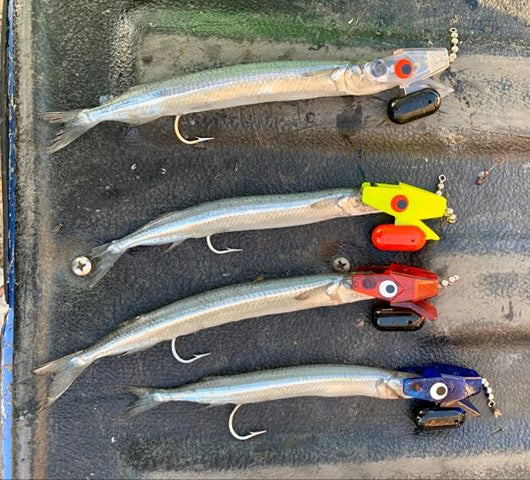 Head Start Hoodlums fishing photo 9