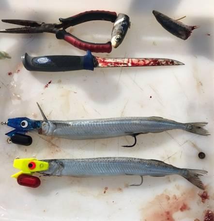 Hello Dolly! fishing photo 5