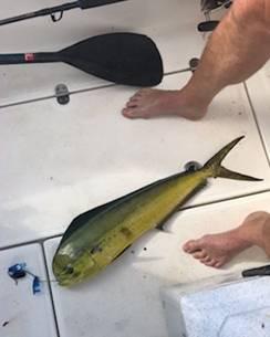 Hello Dolly! fishing photo 6