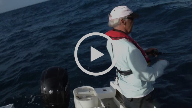 Hello Dolly! fishing photo 8