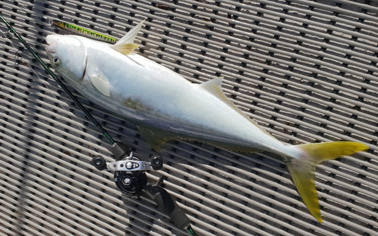 Hello Dolly! fishing photo 9