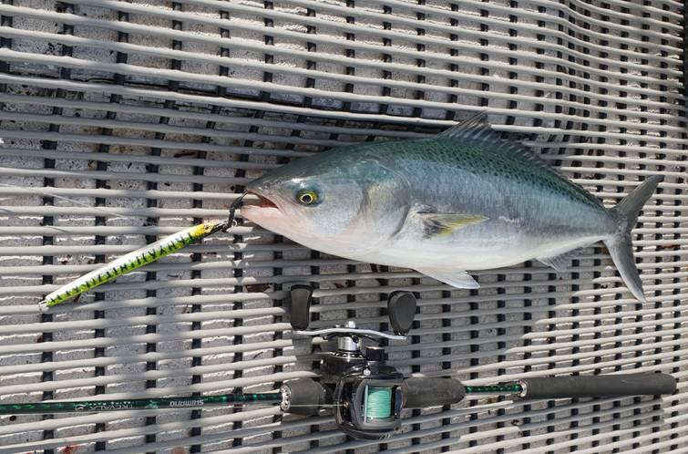 Hello Dolly! fishing photo 10