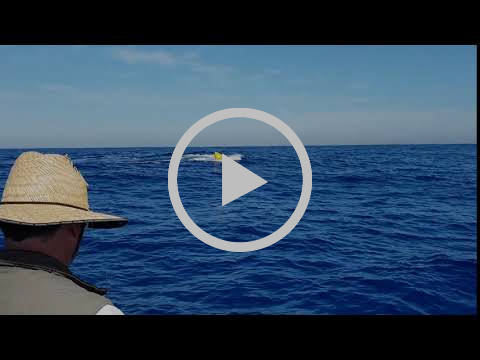 Hello Dolly! fishing photo 15