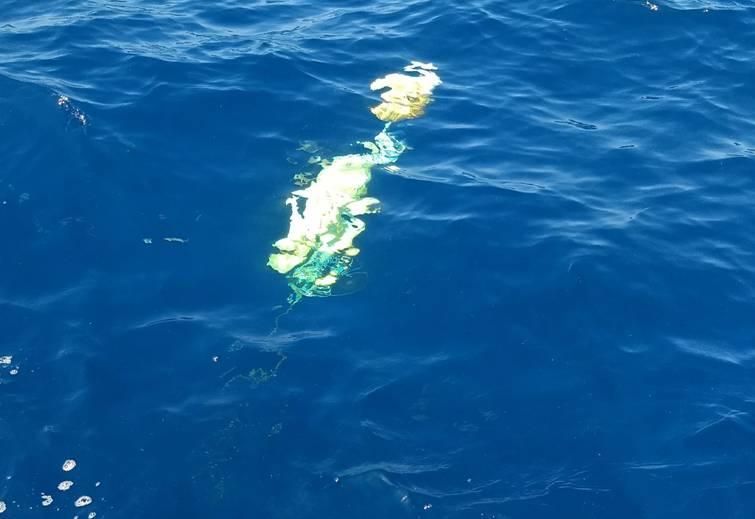 Hello Dolly! fishing photo 17