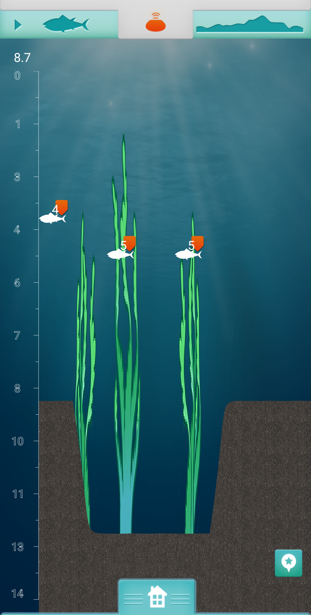'HEY! Where did my float go?' fishing photo 6