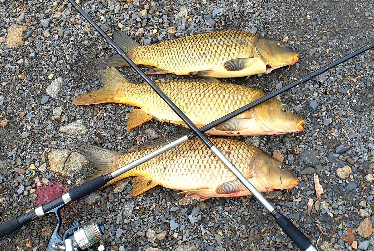 Hi Country Hi Jinks fishing photo 11